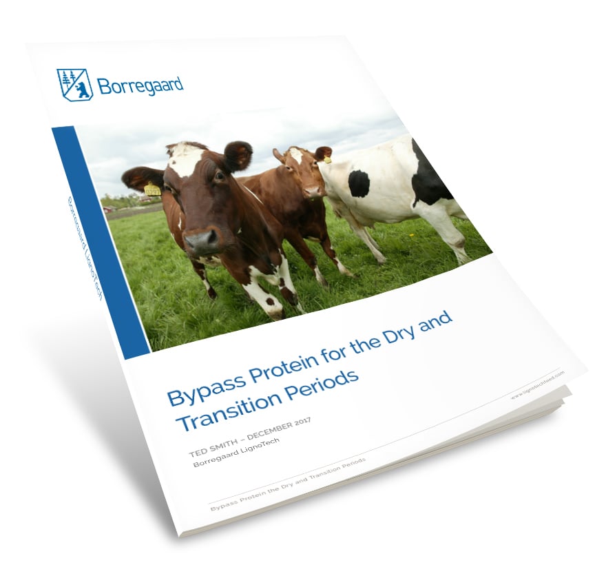 Bypass protein for the dry and transition periods Cover