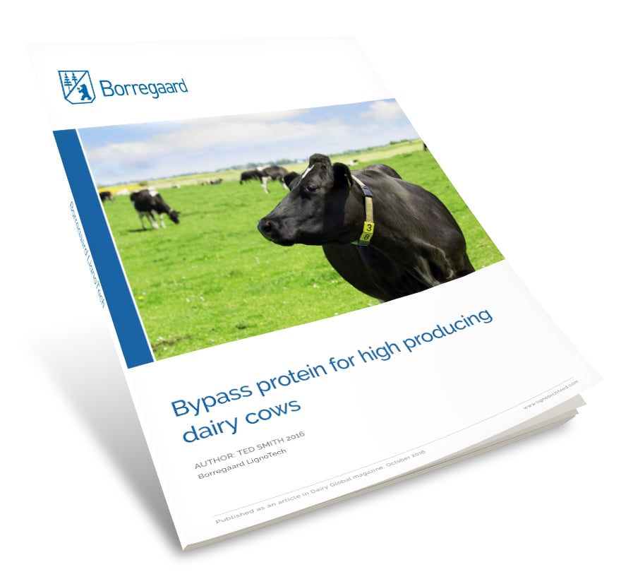 Bypass protein for high producing dairy cows Cover