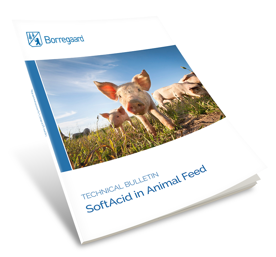 SoftAcid Technical bulletins for Free Download Borregaard